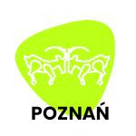 Półkolonie w Domu Rozwoju w Poznaniu