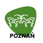 Ręko Dziełka Rozwijanki w Domu Rozwoju Poznań