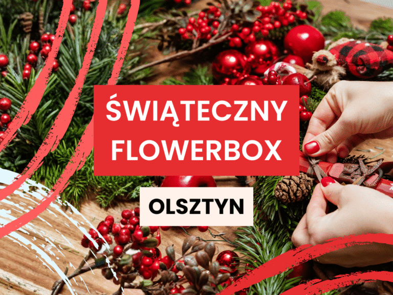 Świąteczny flowerbox - warsztaty florystyczne dla młodzieży i dorosłych w domu rozwpoju w Olsztynie ulica Cicha 1a
